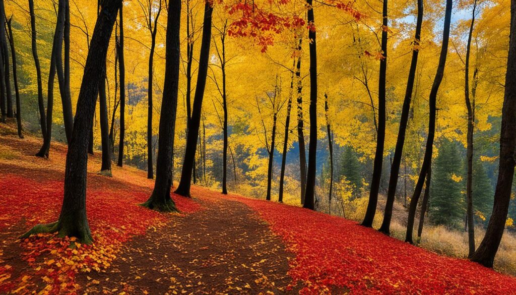 autumn leaves in literature